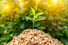International Biomass Conference and Expo (IBCE) 2026 | March 31 - April 2
